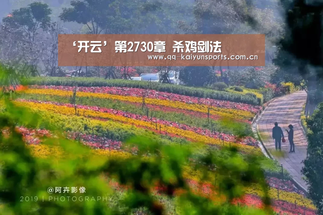 ‘开云’第2730章 杀鸡剑法(图4) 开云App下载